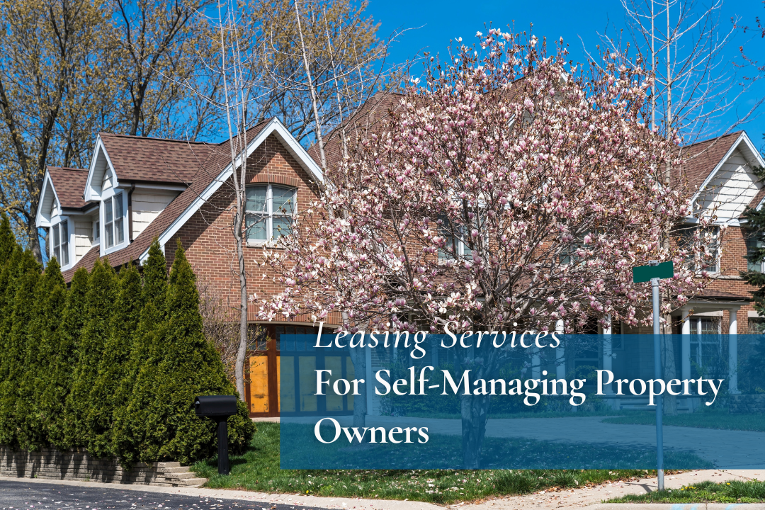 Leasing Services for Self-Managing Property Owners